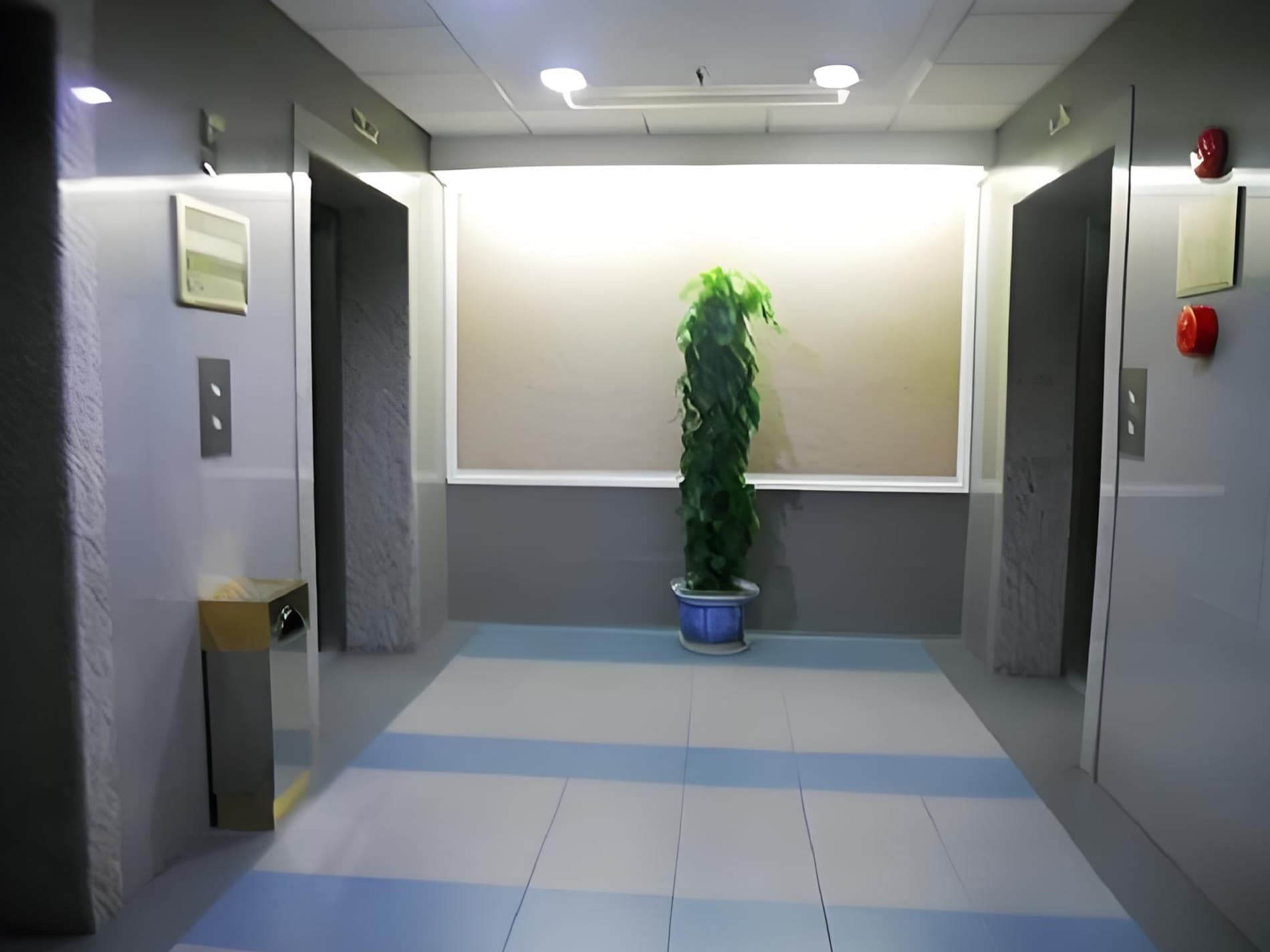 电梯厅